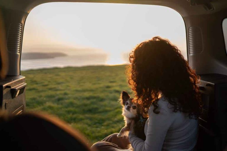 La empresa de transporte de animales domésticos por avión se encarga de que el animal tenga un buen viaje
